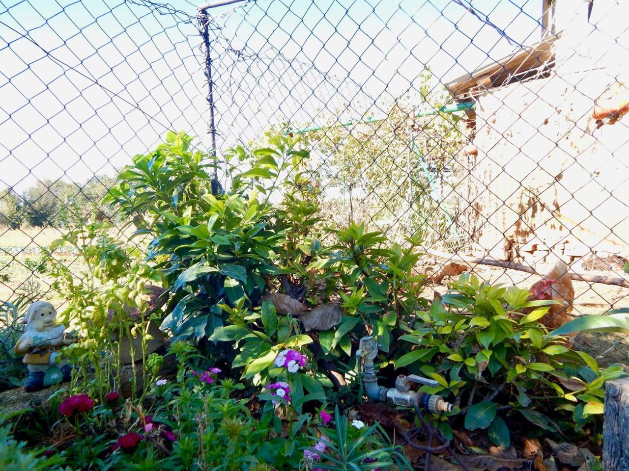 Lovley Rural With Garden 3* Pola